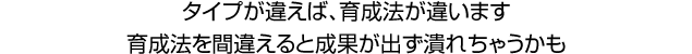 タイプが違えば、育成法が違います